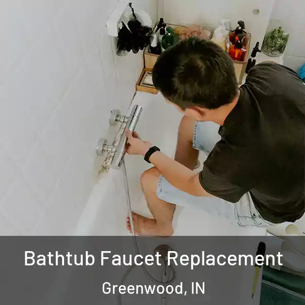  Bathtub Faucet Replacement Greenwood, IN