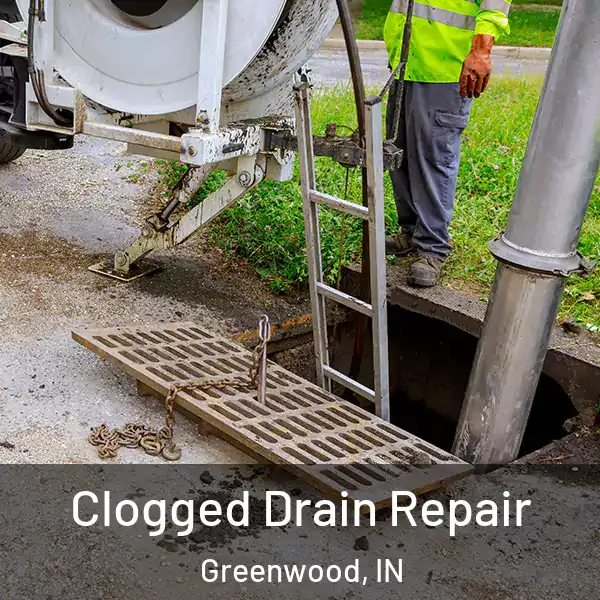  Clogged Drain Repair Greenwood, IN