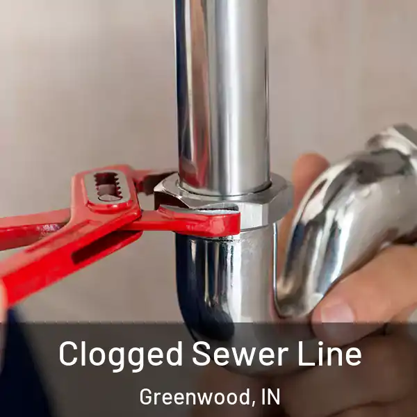  Clogged Sewer Line Greenwood, IN