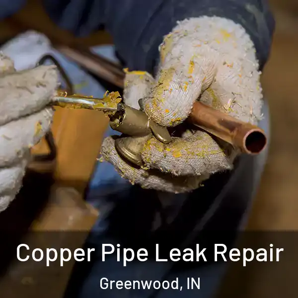  Copper Pipe Leak Repair Greenwood, IN