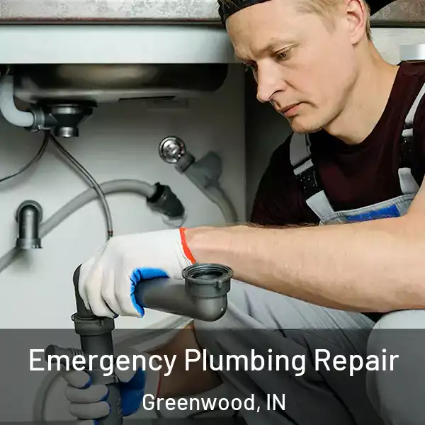  Emergency Plumbing Repair Greenwood, IN