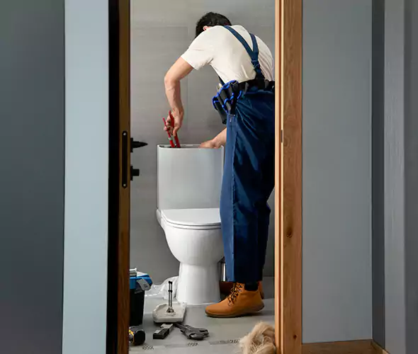 Professional Plumbers for Toilet Bowl Replacement in Greenwood, IN: Schedule Affordable Toilet Replacement Services With Us