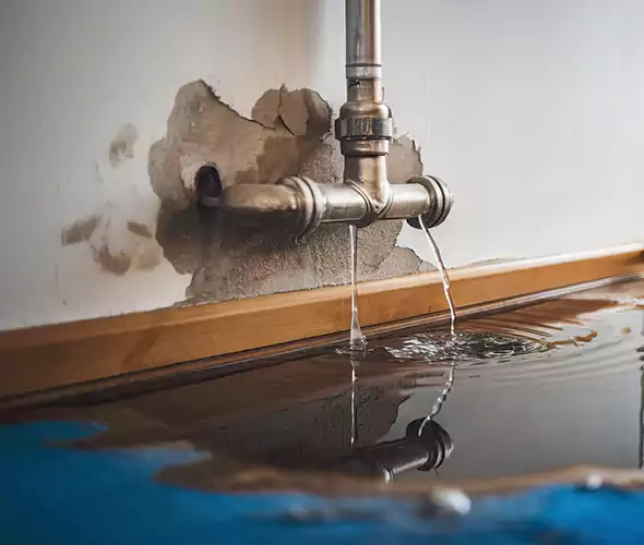 Professional Water Damage Restoration Experts in Greenwood, IN — Fast, Reliable & Certified