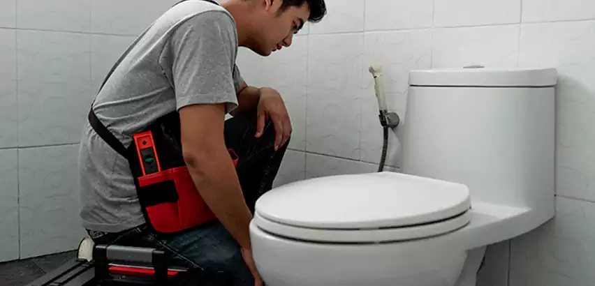 Toilet Repair in Greenwood