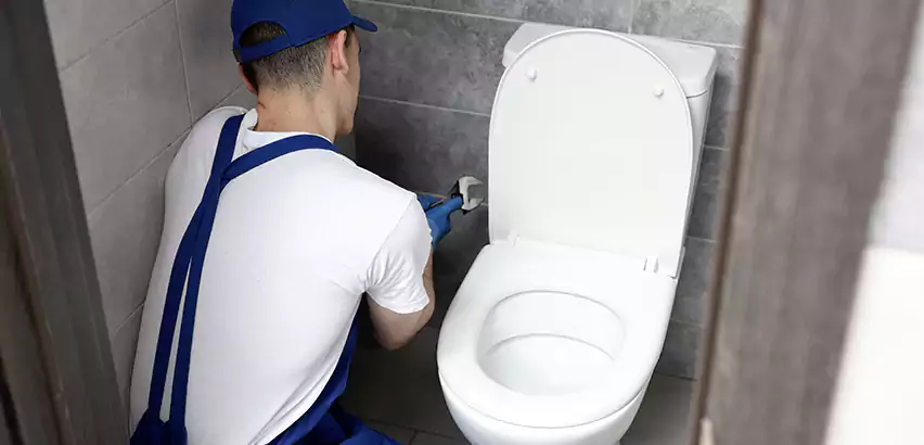 Toilet Lid Replacement in Greenwood
