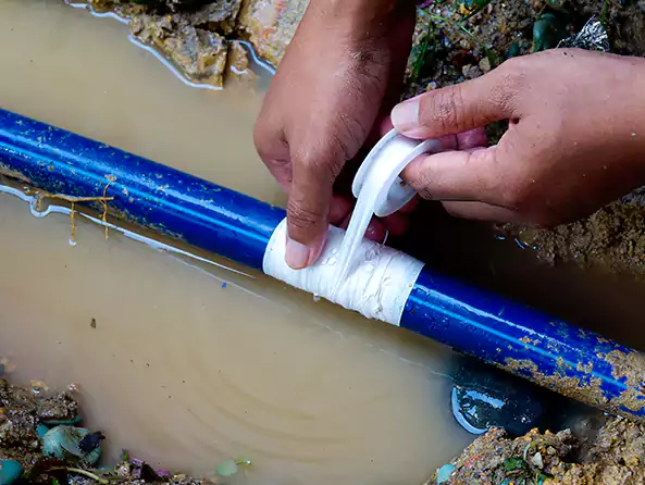  Why Choose Mr. Plumber Greenwood for Leak Detection in Greenwood, IN?]