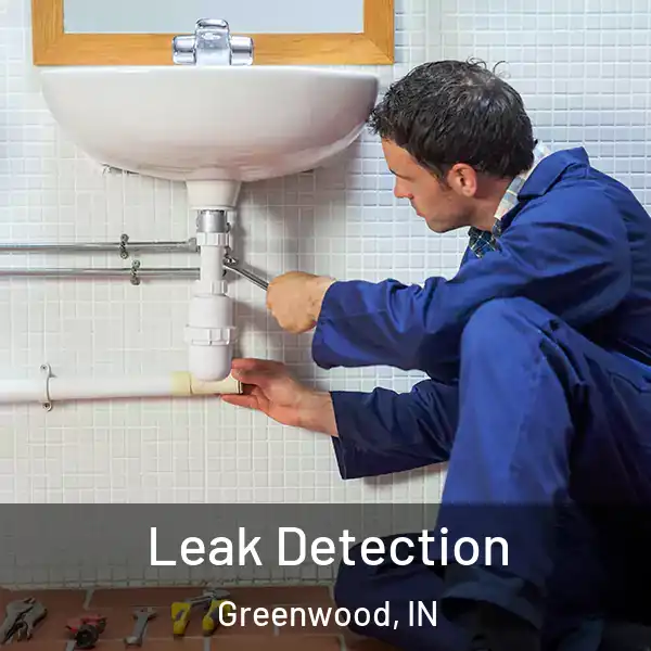  Leak Detection Greenwood, IN