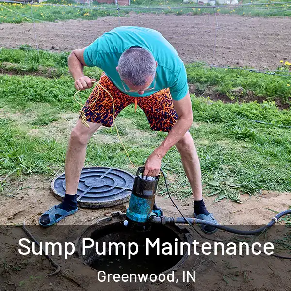  Sump Pump Maintenance Greenwood, IN