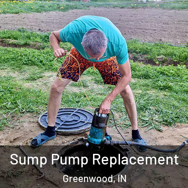  Sump Pump Replacement Greenwood, IN