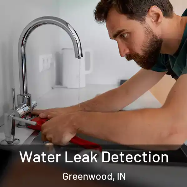  Water Leak Detection Greenwood, IN
